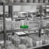Lactobacillus gasseri et poids : ce que les études montrent vraiment