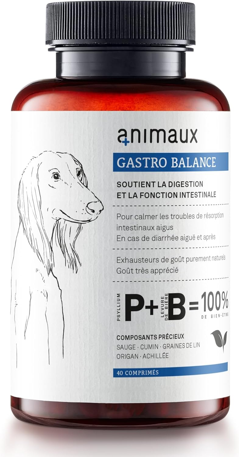 Probiotiques pour chiens à donner régulièrement - 40 comprimés à mâcher - favorise la digestion naturel - Complément alimentaire avec graines de lin, sauge & psyllium - animaux Gastro Balance for Dogs
