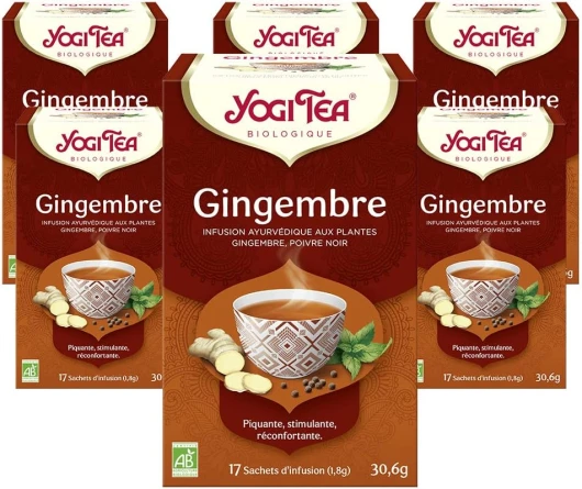 , Gingembre, Infusion Bio, Tisane Naturellement Sans Caféine, Mélange de Gingembre et de Poivre Noir, 102 (6x17) Sachets de Thé