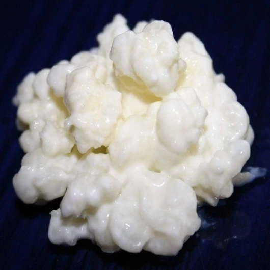 40g de Poudre Granules de Kéfir de Lait + Instructions + Recettes + Aide et conseils en français - KEFIRALIA®, Non aromatisé