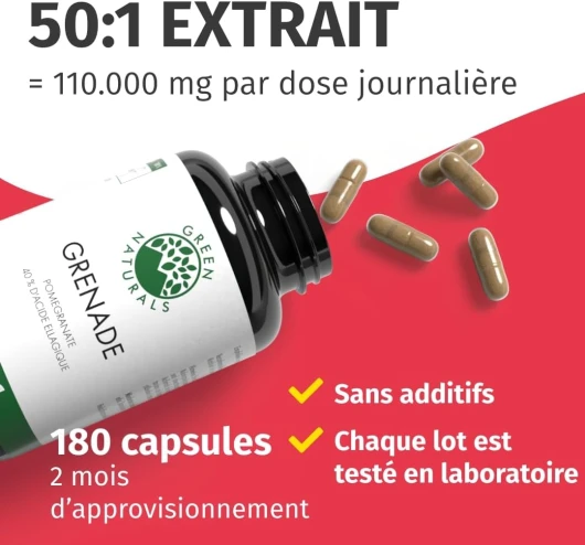 61whXejcGPL._AC_SL1080_