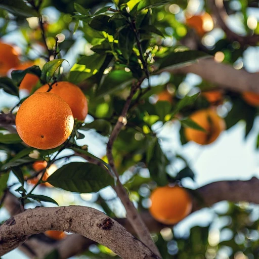 Maigrir probiotique : comment les bactéries peuvent aider à la perte de poids