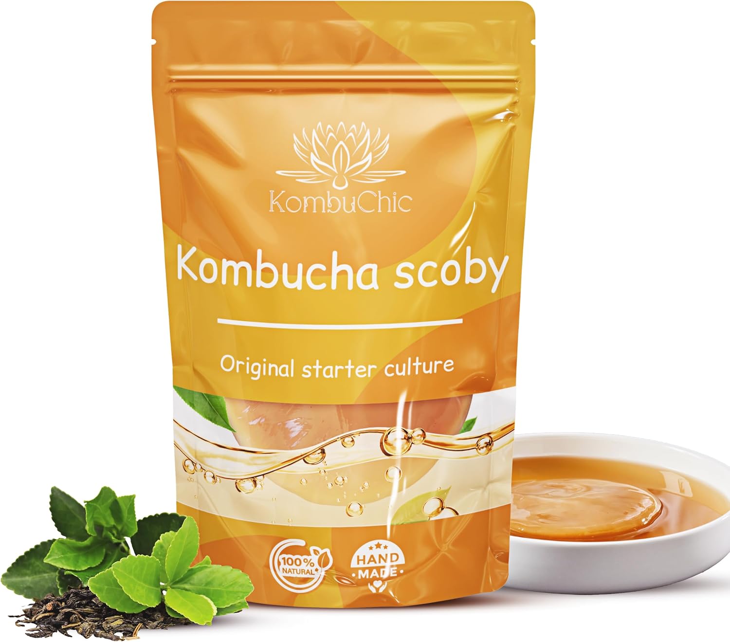 Kombucha scoby - kit de demarrage + conseils de préparations, guide recette de base + Ebook offert