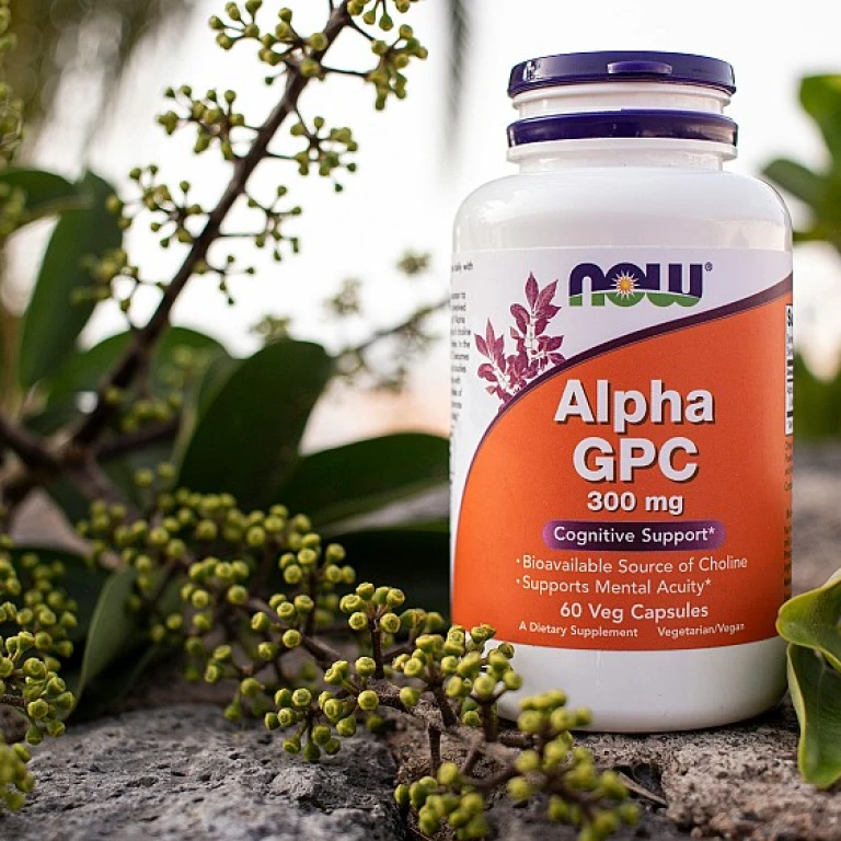 Les bienfaits du miel à la propolis pour votre santé