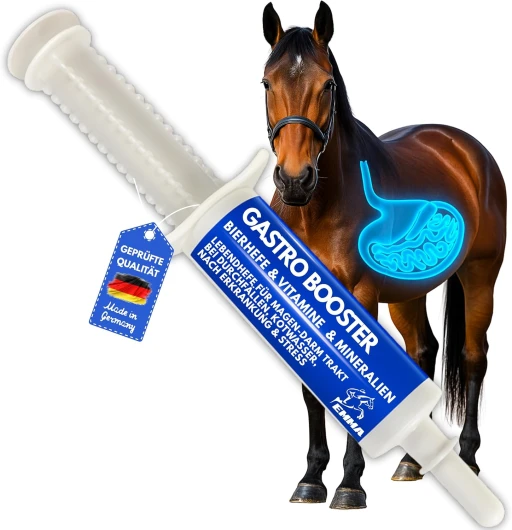 Pâte Gastro-intestinale Probiotiques Levure de bière Cheval I Vitamine E I Culture de levure Flore intestinale Gastro-intestinal - vitaminée I après colique Ecume diarrhée métabolisme Cheval 30ml