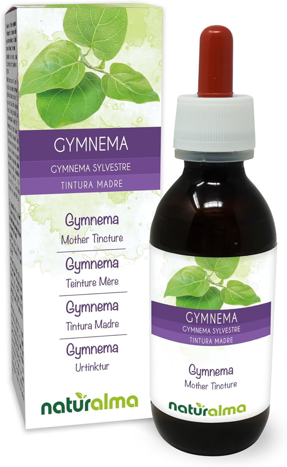 Gymnema (Gymnema sylvestre ou Marsdenia sylvestris) feuilles Teinture Mère sans alcool Naturalma - Extrait liquide gouttes 120 ml - Complément alimentaire - Végétalien ou végan Sans alcool 120 ml (Lot de 1)