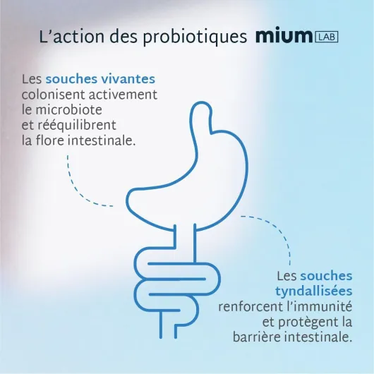 61Q2I w Z0L._AC_SL1081_