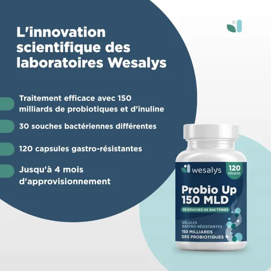 61wCcmVqpHL._AC_SL1500_