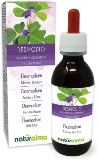 Desmodium (Desmodium adscendens) feuilles Teinture Mère sans alcool Naturalma - Extrait liquide gouttes 120 ml - Complément alimentaire - Végétalien ou végan Sans alcool 120 ml (Lot de 1)