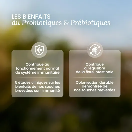 61IhooxVdzL._AC_SL1080_