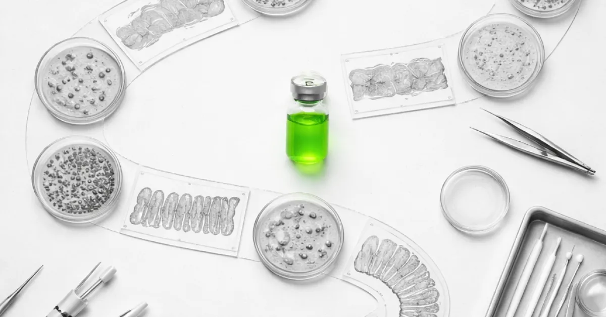 IL-22 : la molécule que notre microbiote fait produire à l'intestin lui-même