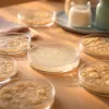 Antibiotiques : jusqu'à huit ans de séquelles sur le microbiote après la prise