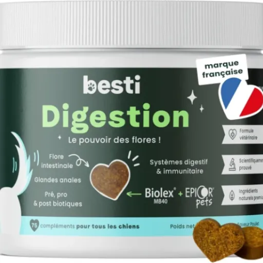 Test BESTI Digestion : des probiotiques pour chien qui font (globalement) le job sans prise de tête