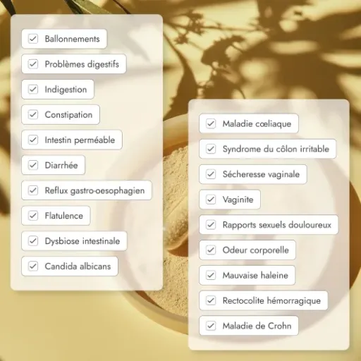 Test UMA Symbiotic Probiotiques : une cure ménopause simple qui fait le job (sans miracle)