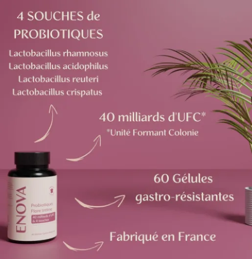 Probiotique Flore Intime - Jusqu'à 40 Milliards UFC/Jour - 4 Souches : Lactobacillus Reuteri, Rhamnosus Crispatus et Acidophilus - 100% Français - Intima - Complement alimentaire
