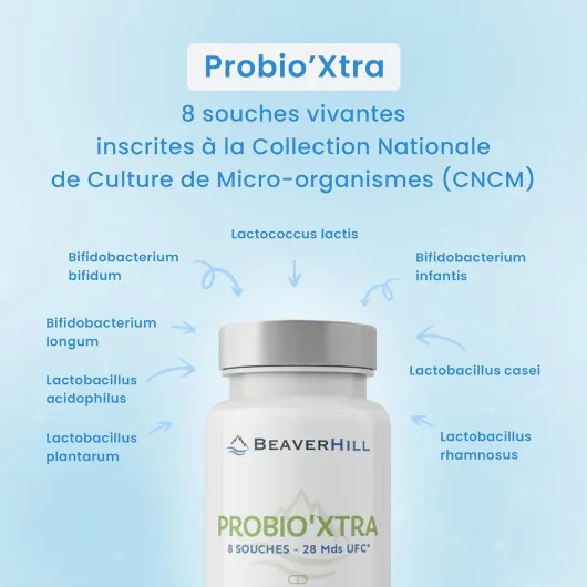 PROBIO’XTRA - Probiotiques - 8 souches vivantes - 60 Gélules végétales - BEAVERHILL - Confort digestif – Humeur – Stress – Immunité – Ballonnements - Fabriqué en France