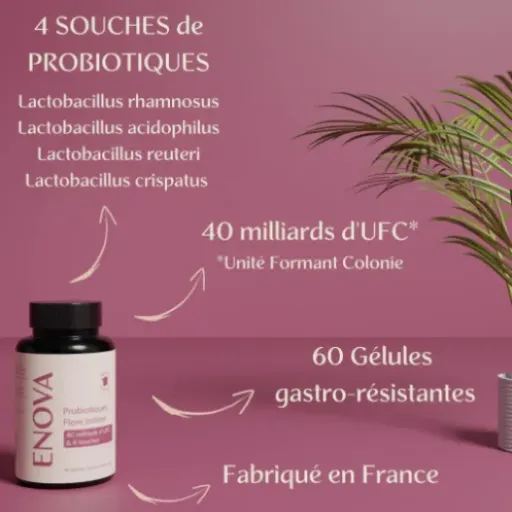 Test Probiotique Flore Intime Enova : un coup de pouce correct pour la flore vaginale, sans miracle