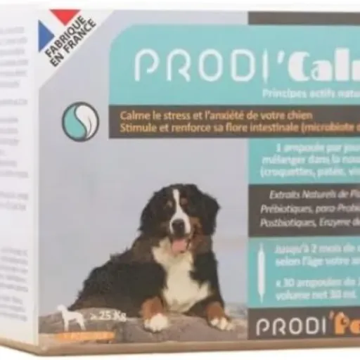 Test PRODI'CALM Grand Chien : un calmant naturel en ampoules qui fait (globalement) le job