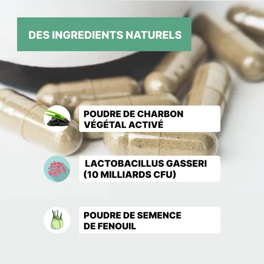 PROBIOTIQUE VENTRE PLAT - Affine votre silhouette - Perte de poids - Bien-être digestif - Anti-ballonnements - Fenouil - Lactobacillus gasseri - Charbon