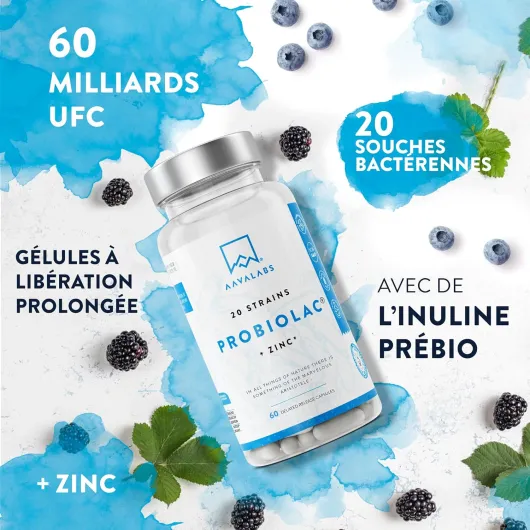 Probiotique Flore Intestinale 60 Milliards UFC 20 Souches de Bactéries dont Lactobacillus Gasseri et Bifidobacterium - Ferments Lactiques avec Zinc et Inuline - 60 Gélules