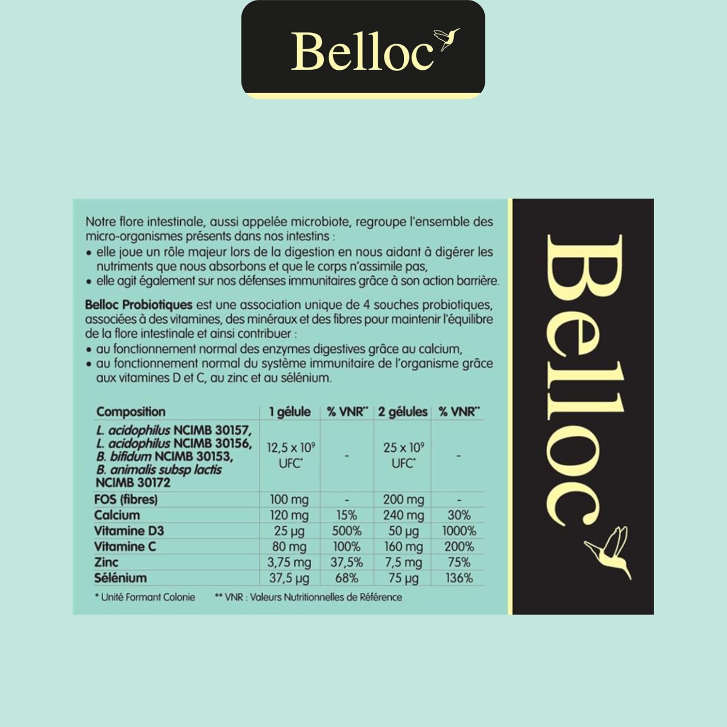 Probiotiques - MAXI FORMAT - Confort digestif – Equilibre de la Flore Intestinale - 4 Souches Microbiotiques - Dès 11 ans - 40 Gélules Végétales gout neutre
