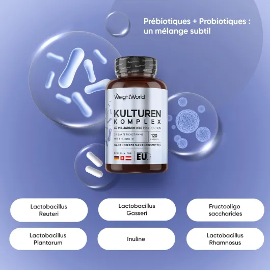 Probiotique et Prébiotique 60 Milliards d'UFC 120 Gélules Vegan 20 Souches, Probiotique et Prébiotique Gélules - Lactobacillus Gasseri, Lactobacillus Reuteri, Lactobacillus Rhamnosus, Inuline, FOS
