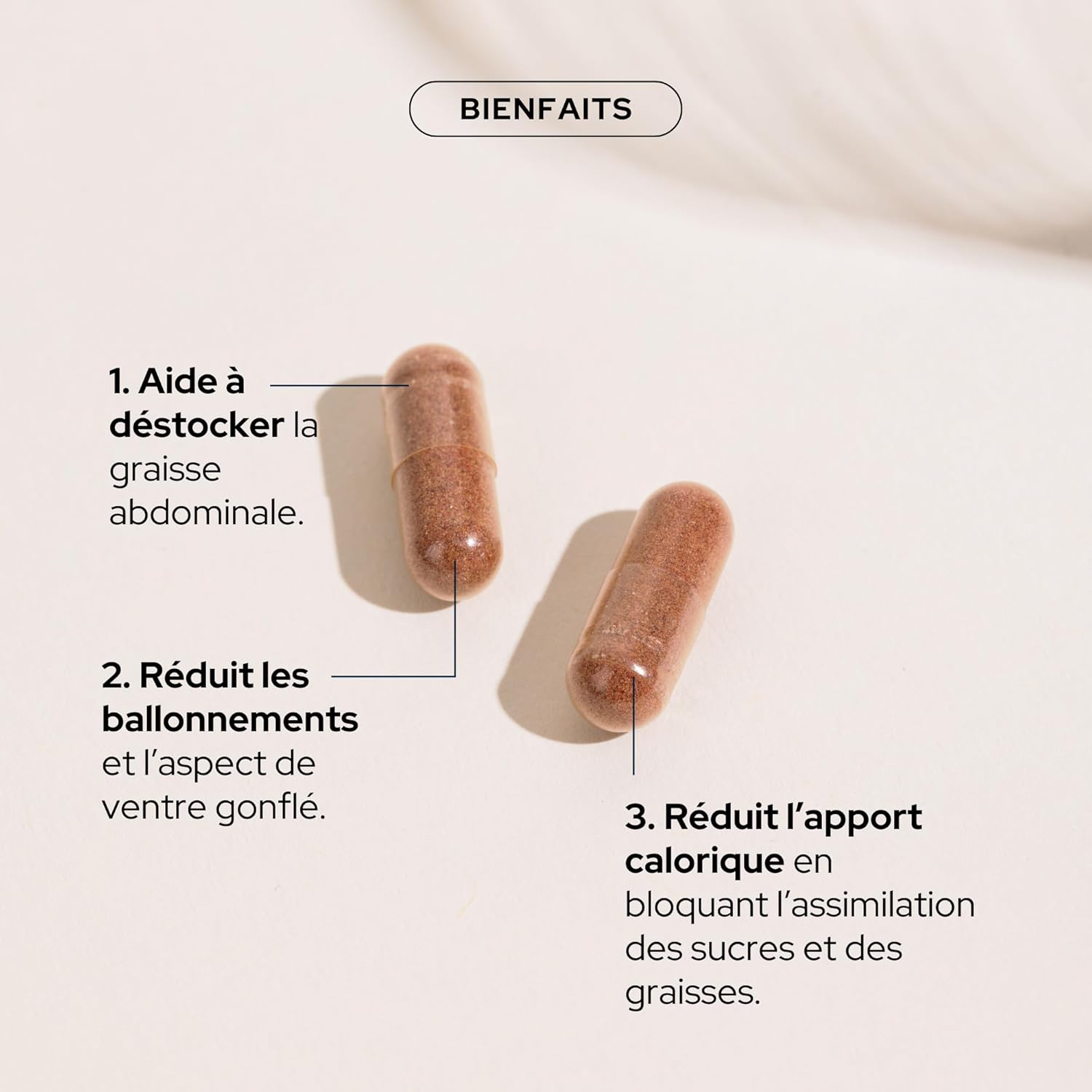 Cure Ventre Plat - Réduction des Graisses Abdominales, Ballonnements, Silhouette Affinée - 100% Naturel - Pépins de raisin, Piment Cayenne, Probiotiques - Vegan Made in France (1 Sachet)