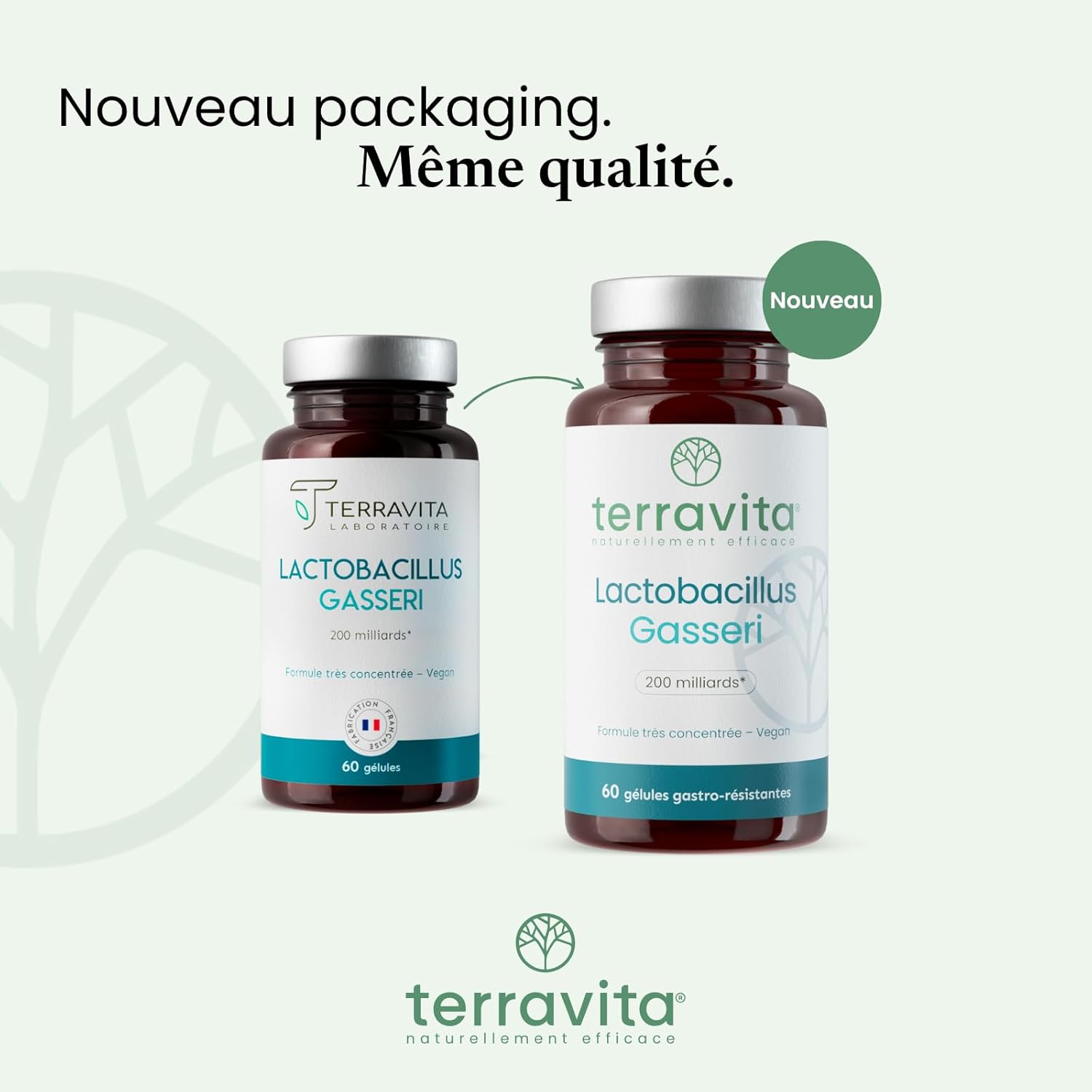 LACTOBACILLUS GASSERI - Ferments Lactiques Minceur - Souche Concentrée 200 Milliards/g - Flore Intestinale Digestion & Ballonnements - 60 Gélules Vegan Gastrorésistantes - Made in France - Terravita