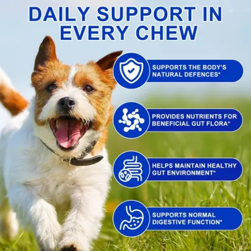Test Probiotiques CLFJLXYX pour chiens : des croquettes-santé qui font (à peu près) le job