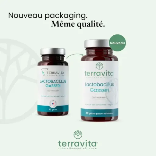 Test Terravita Lactobacillus Gasseri : un probiotique axé ventre plat qui fait le job, sans miracle