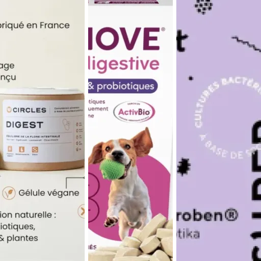 Comparatif des 6 meilleurs probiotiques pour la digestion des fibres (mai 2026)