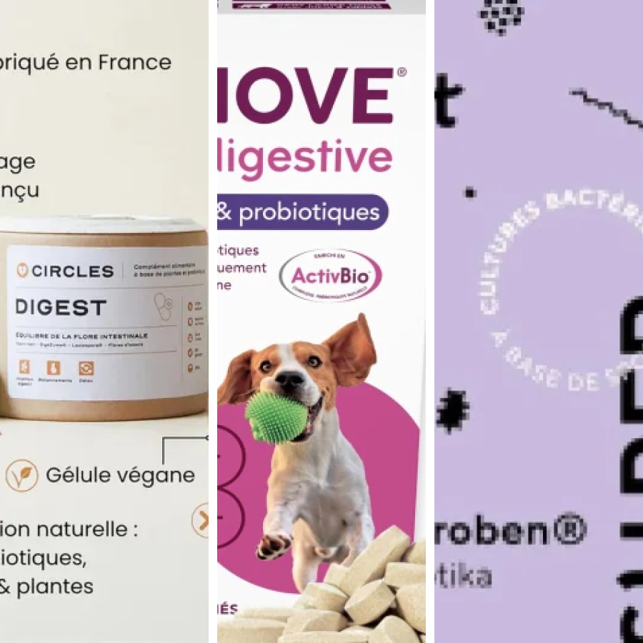 Comparatif des 6 meilleurs probiotiques pour la digestion des fibres (2026)