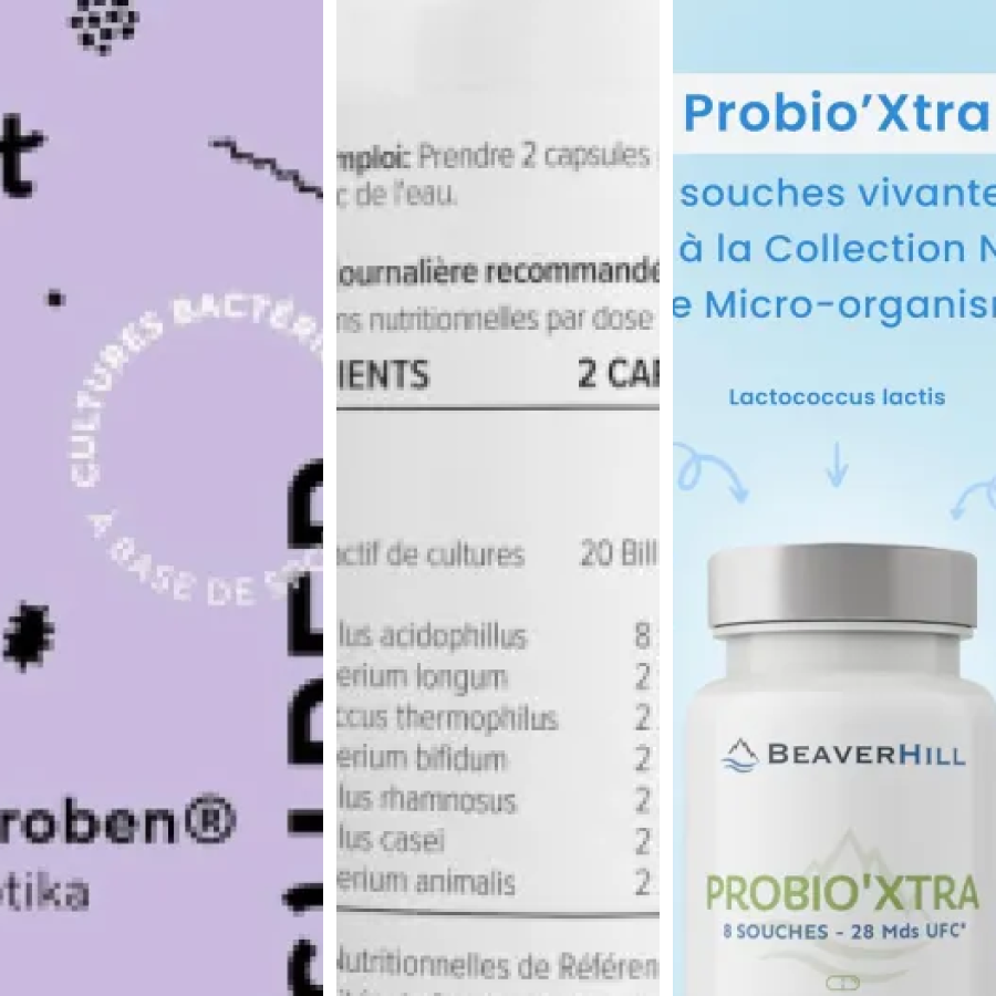 Classement des 7 meilleurs probiotiques pour la flore intestinale et immunité (2026)