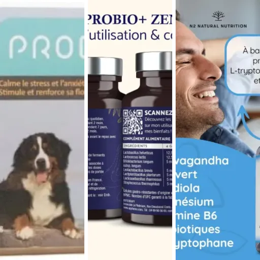 Top 4 des meilleurs probiotiques et anxiété (mai 2026)