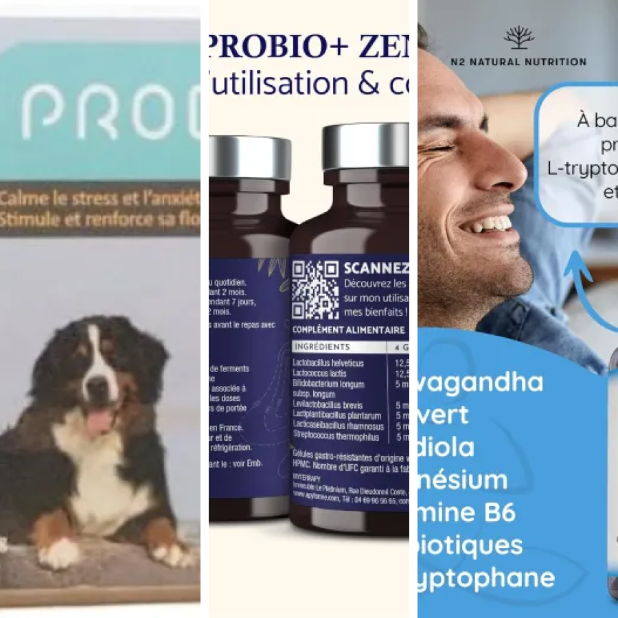 Top 5 des meilleurs probiotiques et anxiété (2026)