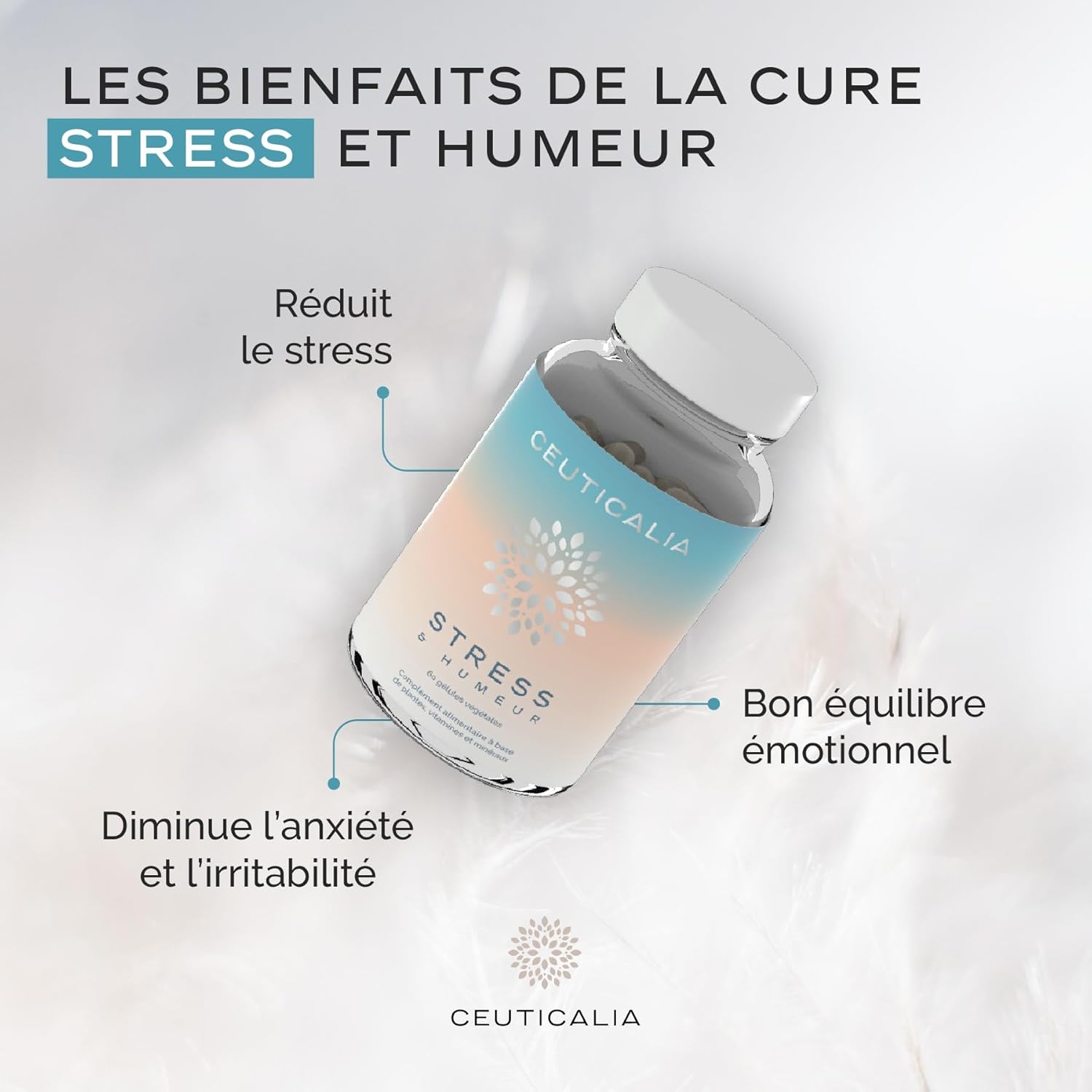 Complément Alimentaire Stress et Humeur - Anti Stress et Anxiété, Favorise Bien Etre et Relaxation - Pour Adulte - Magnésium, Vitamine B6, Safran, Rhodiola, Aubépine - 180 Gélules, 90 Jours 180 Gélules - Cure de 90 Jours