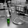 Les probiotiques résistent-ils à l'acide gastrique ? Ce que montrent les tests in vitro