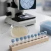 Lactobacillus rhamnosus : ce que dix ans d'essais cliniques ont prouvé